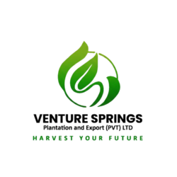 Home gemini generated image h8pp3xh8pp3xh8pp removebg preview