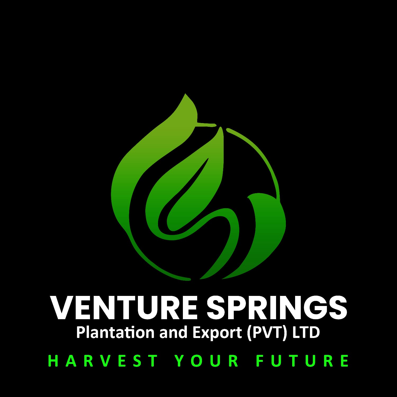 whatsapp image 2026 01 19 at 15.09.53